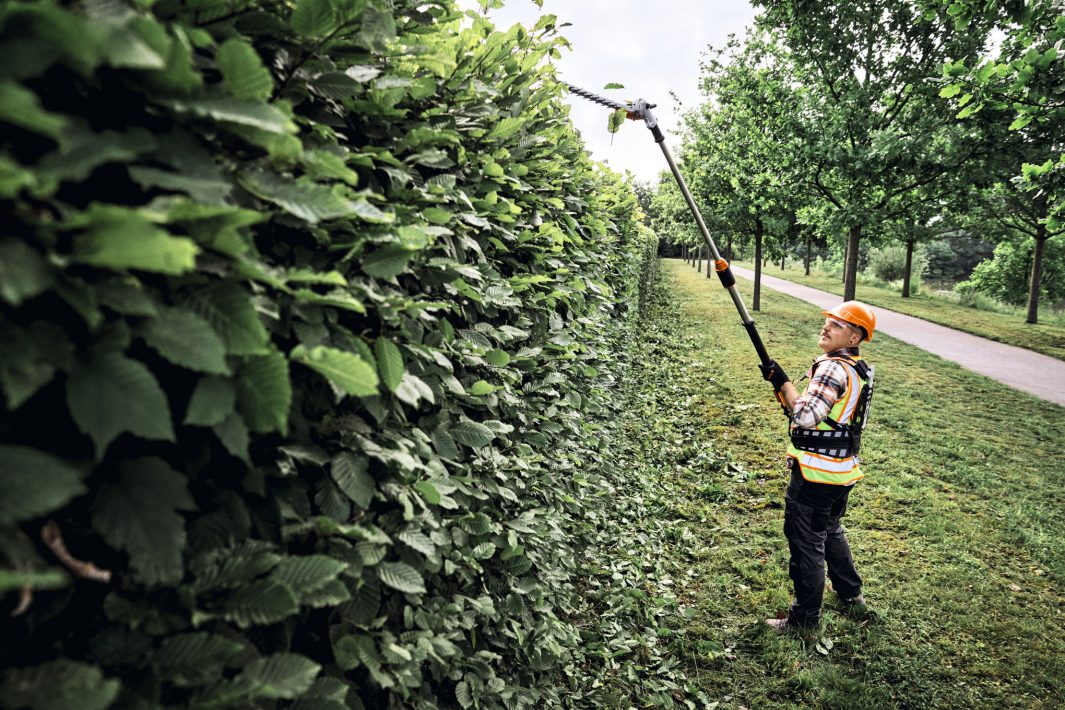STIHL HLA 150 Long-Reach Hedge Trimmer