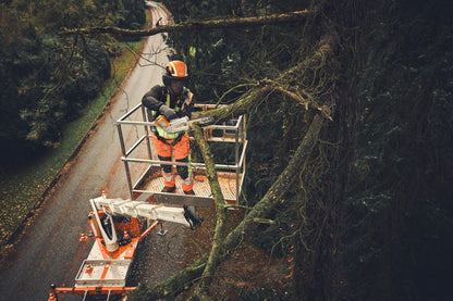 STIHL MSA 190 T Cordless Chainsaw - AP System