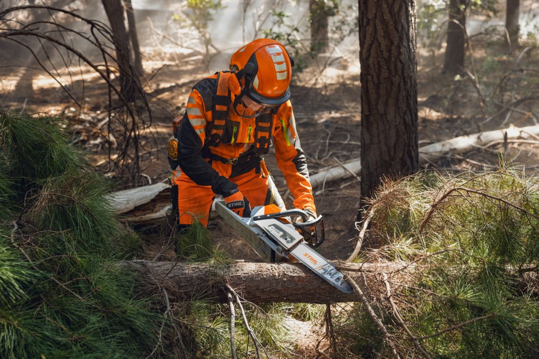 STIHL MSA 260 C-O Chainsaw