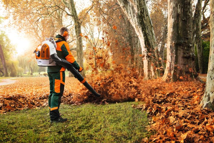 STIHL BR 700 Blower