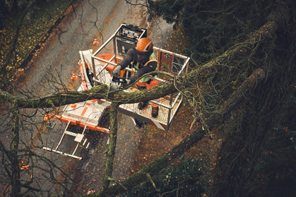 STIHL MSA 190 T Cordless Chainsaw - AP System