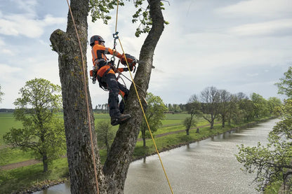 HUSQVARNA T540 XP III Chainsaw