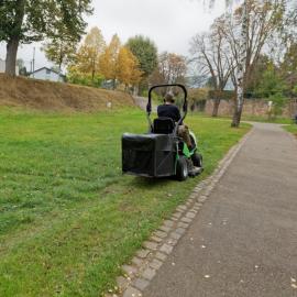 ETESIA Buffalo Petrol Ride-on Mowers HYDRO 100 MK124