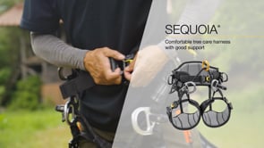 PETZL New SEQUOIA Tree Care Harness