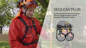 PETZL New SEQUOIA® PLUS Tree Care Harness inc SRS Ascent System